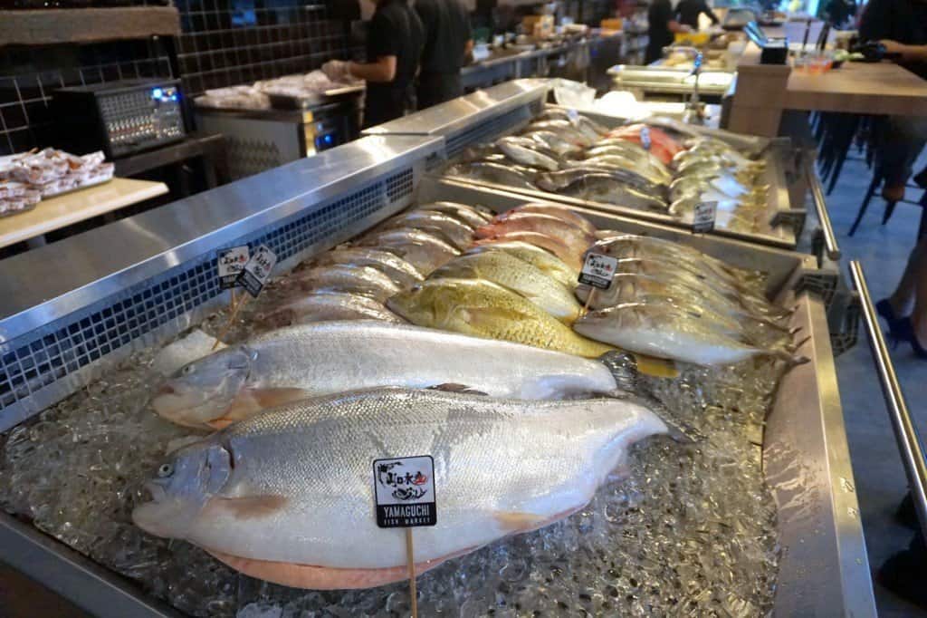 Yamaguchi Fish market - REVIEW - seafood-011